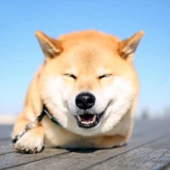 Meet your Posher, Jen - Picture 2 of 2